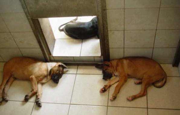 Alexa und Xenia beim Pennen