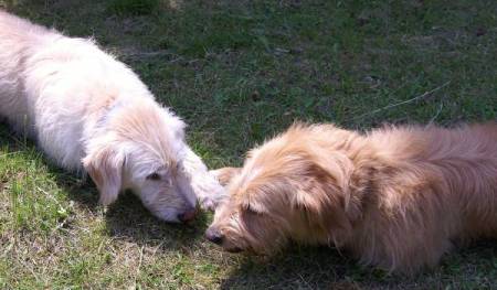 Sam & Anton