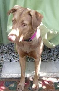 Betty auf der Veranda