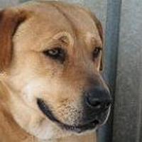 Bruna