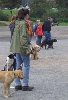 in der Hundeschule