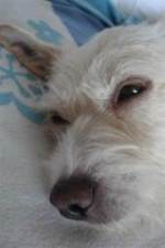 Emmily