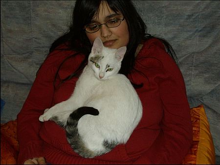 A wie Anh&auml;nglich