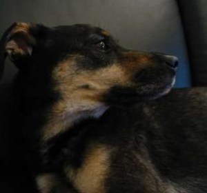 auf der Couch