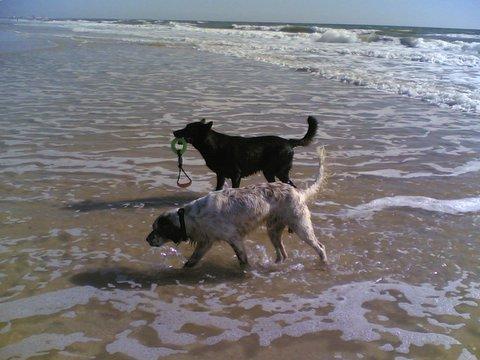 Lucca am Strand
