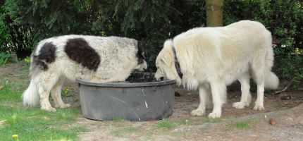 Mariano und Isabella