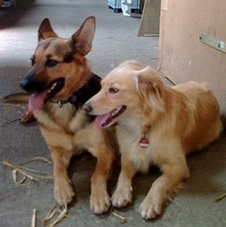 Momo und Lotta