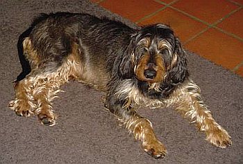 wann gehts denn wieder raus?