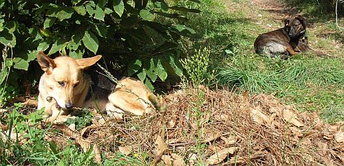 Urlaub in Frankreich