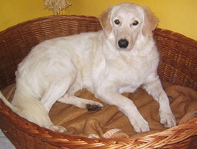 Zoe