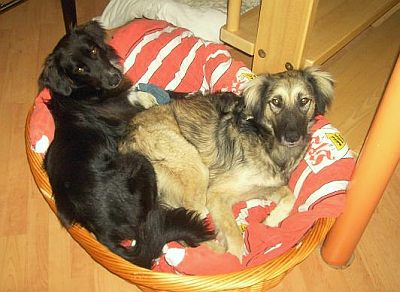 Beau und Kerim