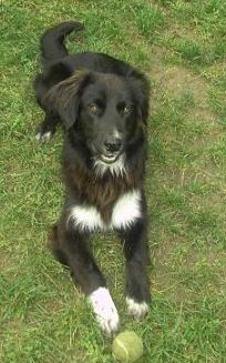 Beau
