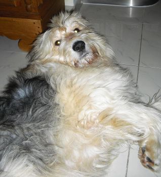 Ben