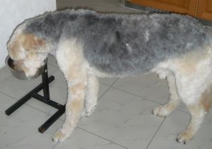 Ben