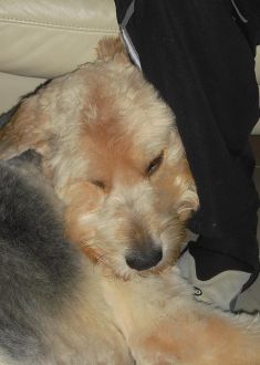 Ben