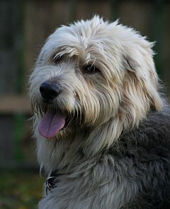 Ben