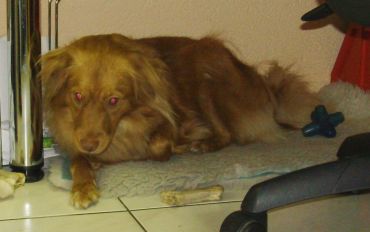 Betty