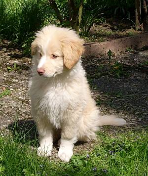 Luca im Garten