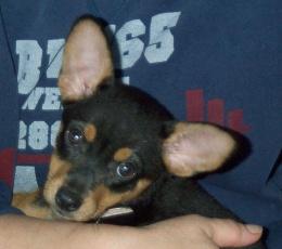 Lola
