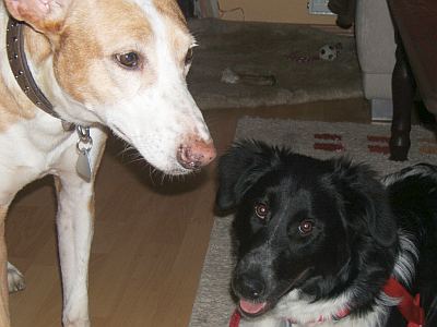 Jette und Linus