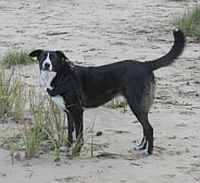 Laura am Strand