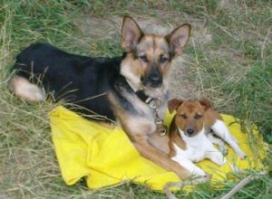 Lotta und Jamie