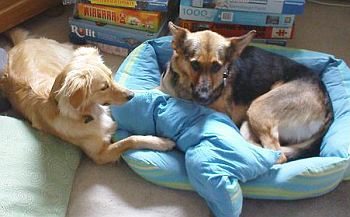 Lotta mit Momo