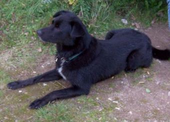 Sancho