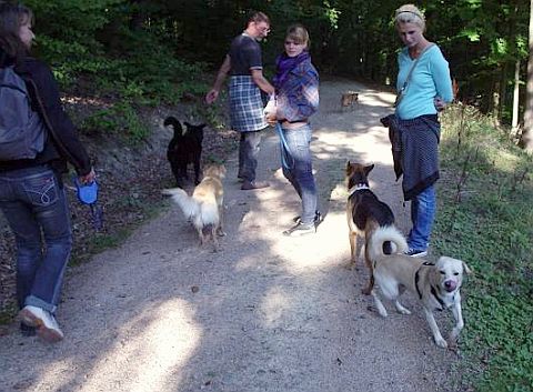 Ab in den Wald