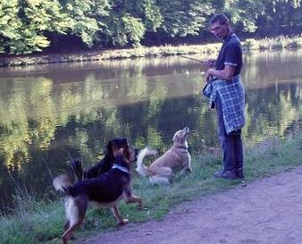 am Wasser