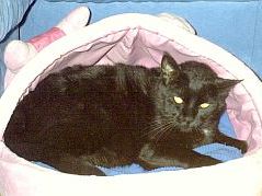 Nerone
