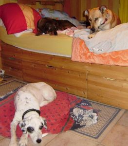 Pepy, Alba und Jolina