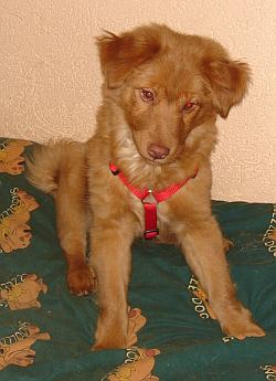Betty