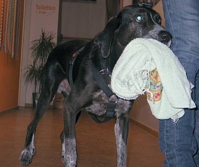 Handtuchträger