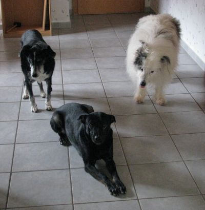 Angela, Beethoven und Nixe