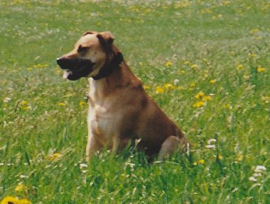 Axel