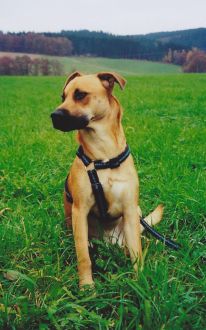 Axel