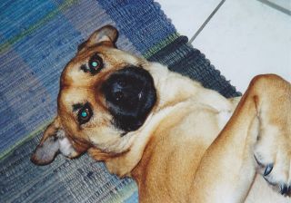 Axel