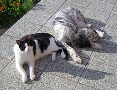 mit Timmi auf der Terrasse