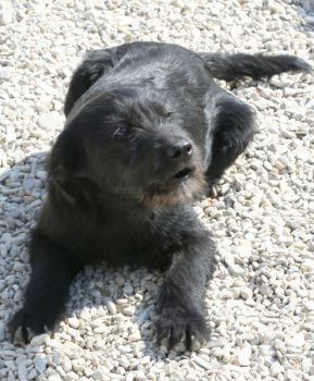 Egidio