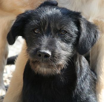 Egidio