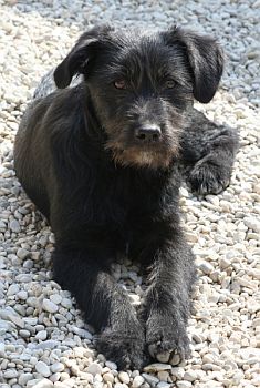 Egidio
