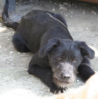 Egidio