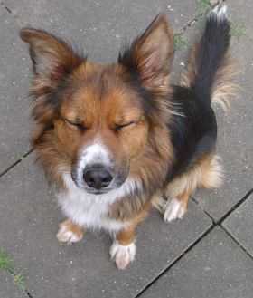 Esther