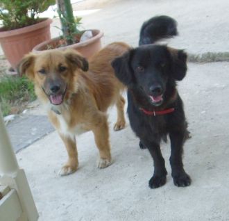 Kai und Karl