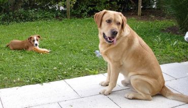 Leonie und Artur