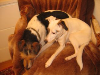 Pina Liscia und Jil