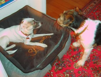 Pina Liscia und Jil