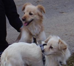 Sally und Danny