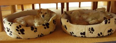 Sally und Danny